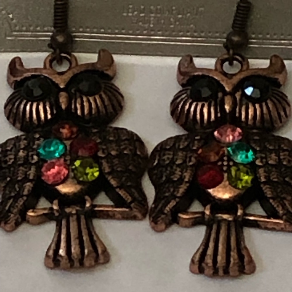 Princess Accessories Owl Earrings - Picture 3 of 6